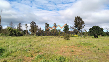 Hermoso Terreno