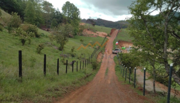 Hermosa Parcela Con Bosque de Árboles Nativos