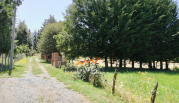 Vende Gran Parcela con Acceso Controlado en sector de Pillanlelbun