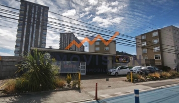Inmovision Gestion Inmobiliaria Arrienda Locales comerciales sector Norte